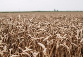 DSC_6903_res1
