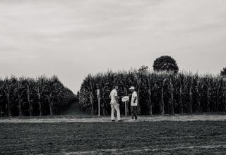 DSC_6593_res1