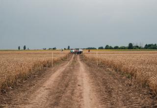 DSC_6798_res1