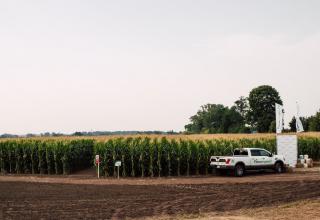 DSC_6441_res1