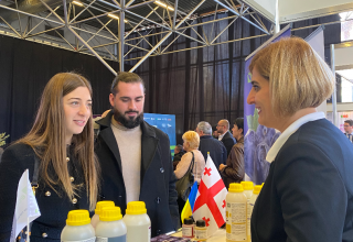 Image 15