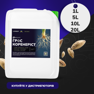 aktsiya-gros-kornerost-v-period-s-01-08-po-30-09-2024