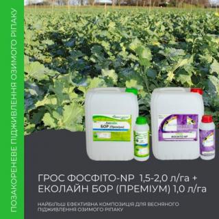 Озимый рапс требователен к питанию,важно обеспечить его необходимыми элементами на разных стадиях роста.