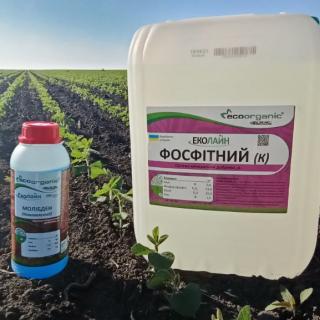 vnekornevaya-podkormka-soi