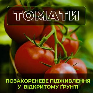 vnekornevaya-podkormka-tomatov-v-otkritom-grunte-effektivnaya-shema-na-2025-god