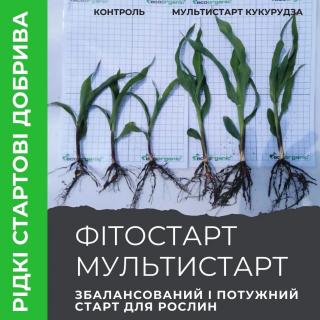fitostart-i-multistart-sbalansirovannii-i-moschnii-start-dlya-rastenii