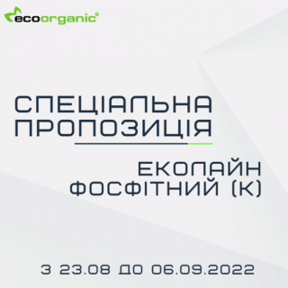 spetsialnoe-predlozhenie-k-osennemu-sezonu